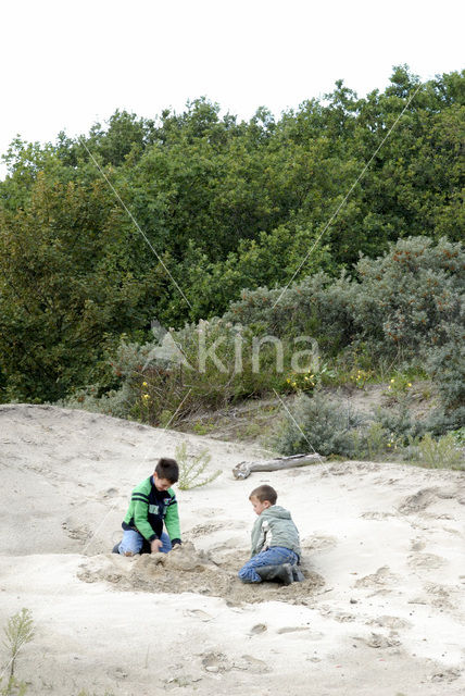 Duinen van Oostvoorne