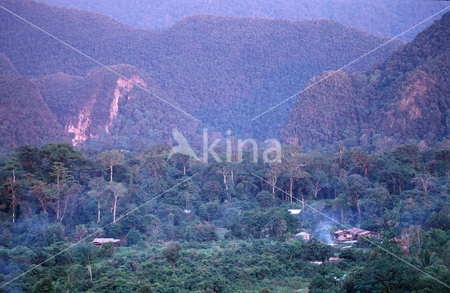 Gunung Mulu National Park