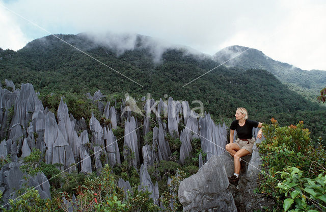 Gunung Mulu National Park