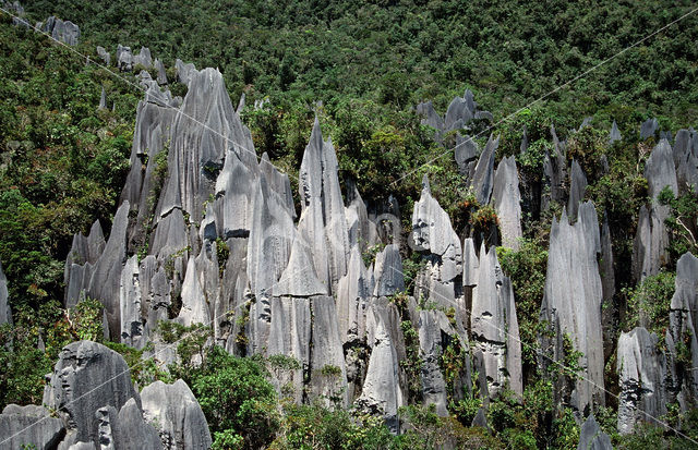 Gunung Mulu National Park