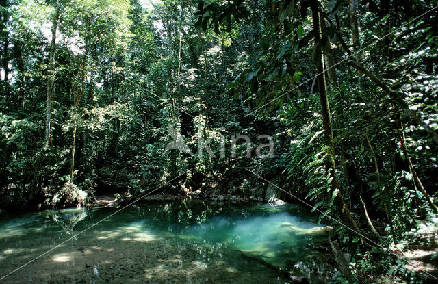 Gunung Mulu National Park