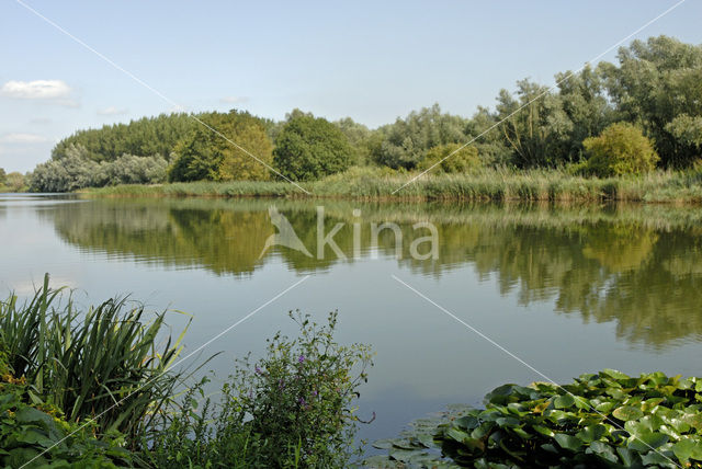 National Park de Biesbosch