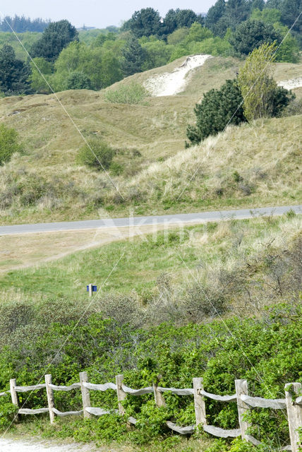 Nationaal park Schiermonnikoog