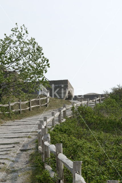 National Park Schiermonnikoog