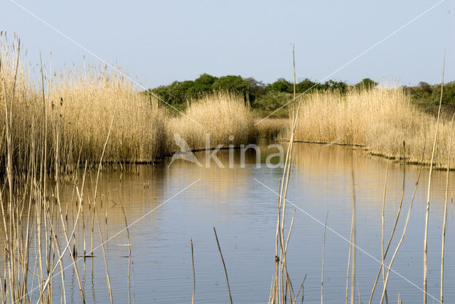 Nationaal park Schiermonnikoog