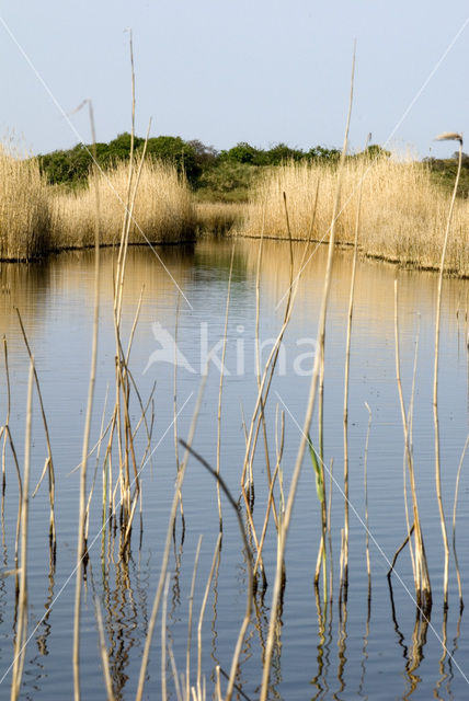 National Park Schiermonnikoog