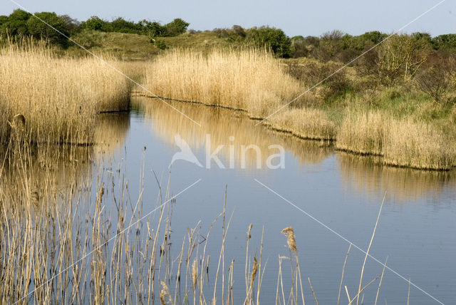 Nationaal park Schiermonnikoog