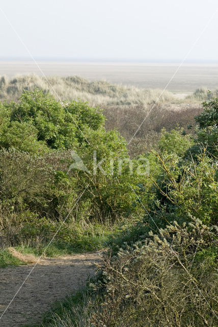 Nationaal park Schiermonnikoog