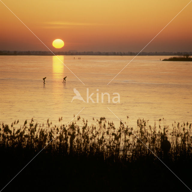 Oostvaardersplassen