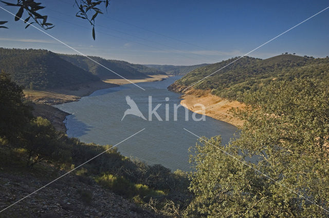 Parque Nacional de Monfrague