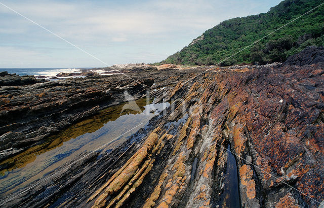 Tsitsikamma National Park
