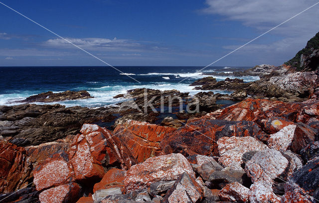 Tsitsikamma National Park