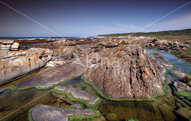 Tsitsikamma National Park