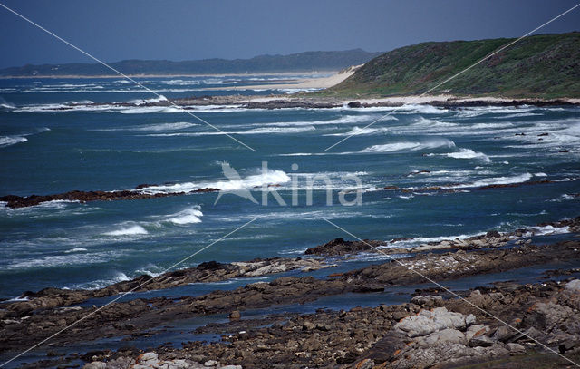 Tsitsikamma National Park