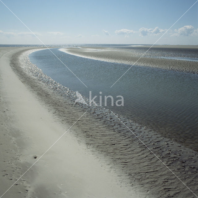 Waddensea