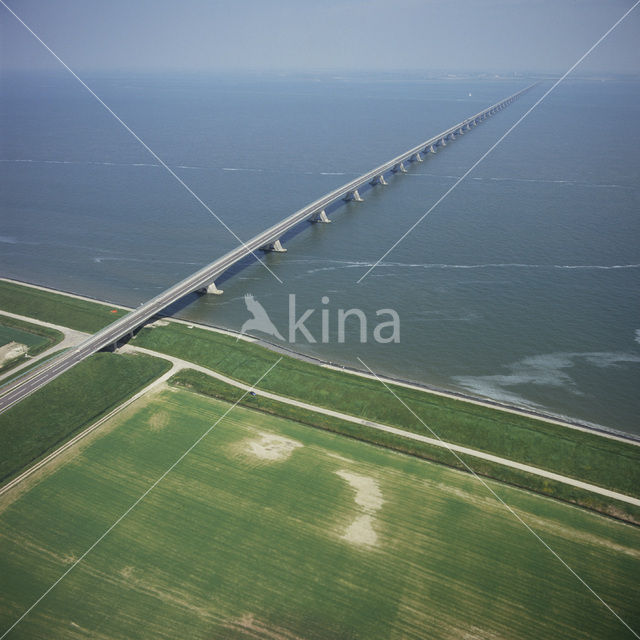 Zealandbridge N256