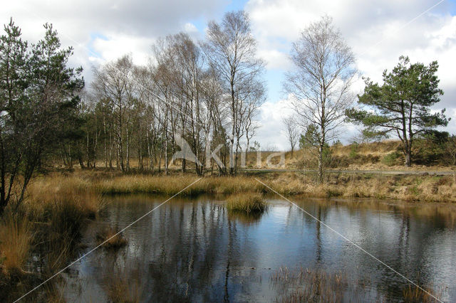 Kroondomein Het Loo