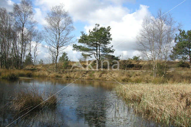 Kroondomein Het Loo