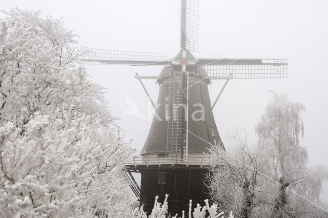 Molen De Vlijt