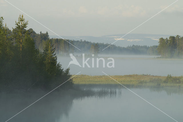 Nationaal Park Fulufjället