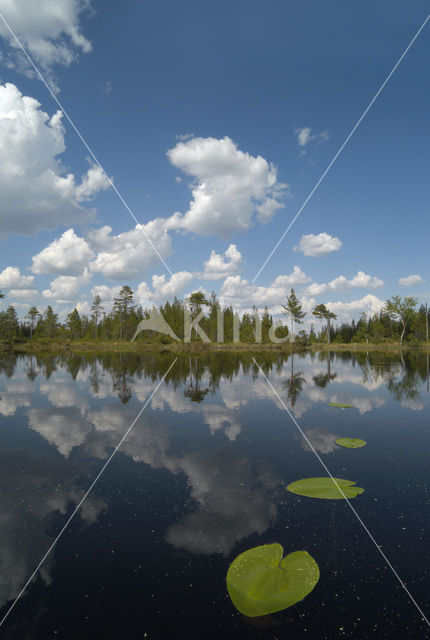 Nationaal Park Fulufjället