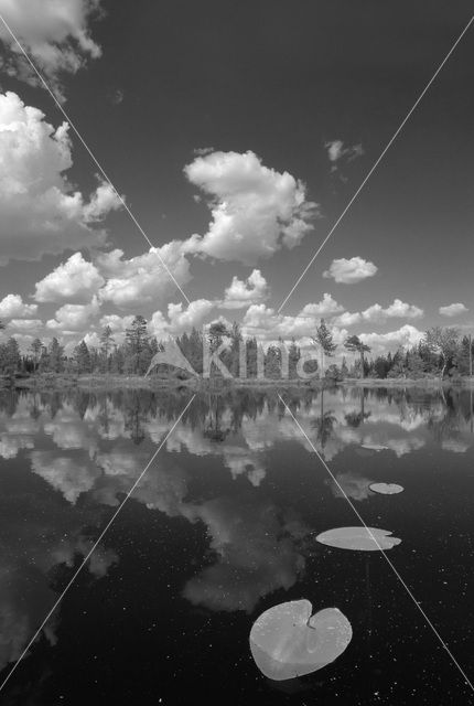 Fulufjället National Park