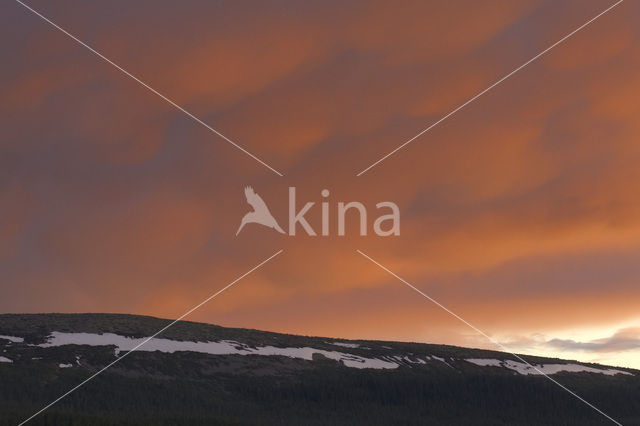 Fulufjället National Park