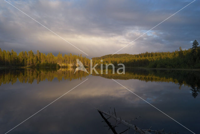 Nationaal Park Fulufjället