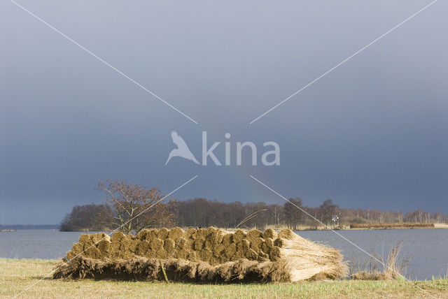 National Park Weerribben-Wieden