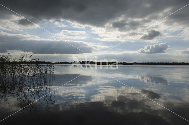 Nationaal Park Weerribben-Wieden