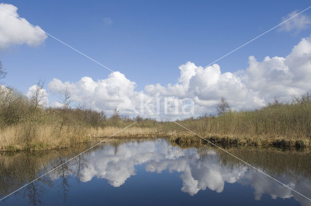 National Park Weerribben-Wieden