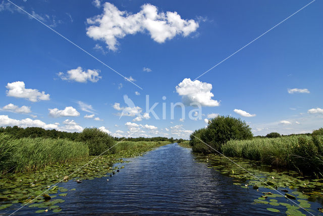 National Park Weerribben-Wieden