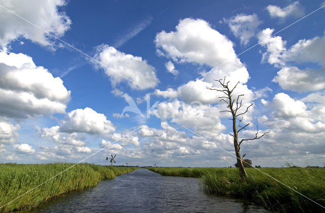 National Park Weerribben-Wieden