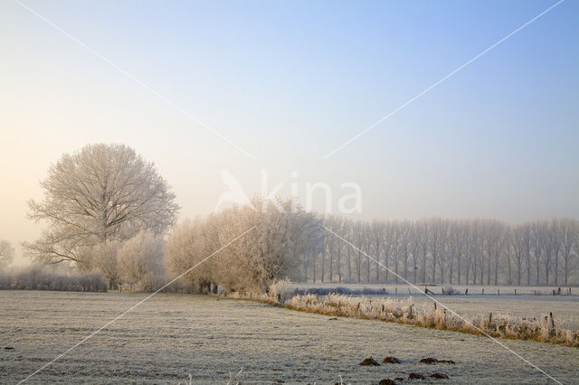 Nederrijn