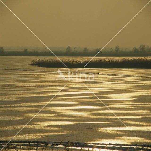 Oostvaardersplassen