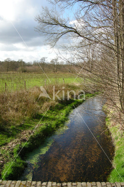 Tongerense beek