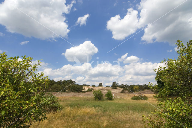 Veluwe