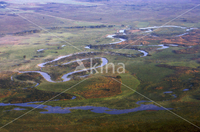 Biebrza National Park