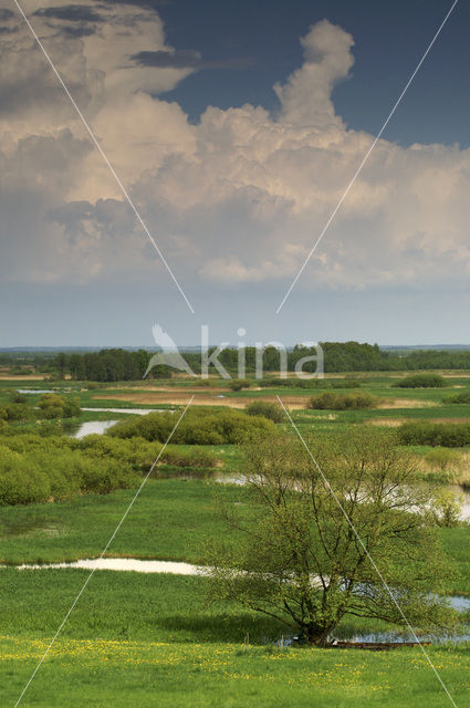 Biebrza National Park