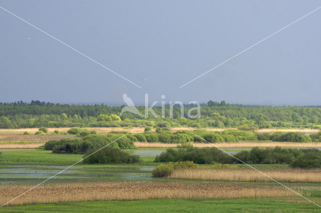 Biebrza National Park