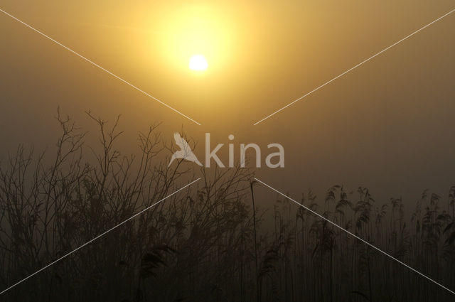 Biebrza National Park