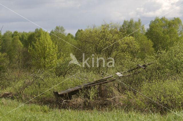 Biebrza National Park