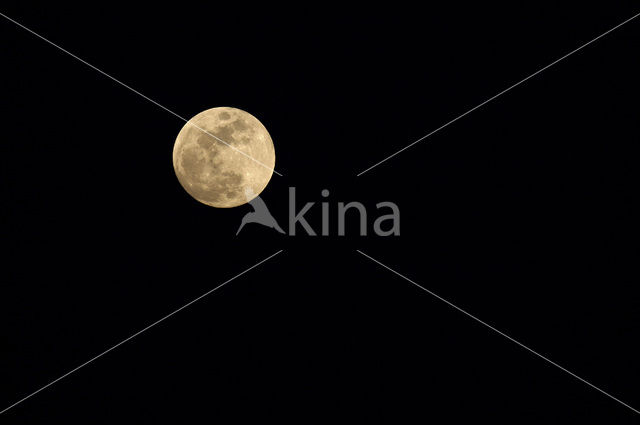 Bulgaria