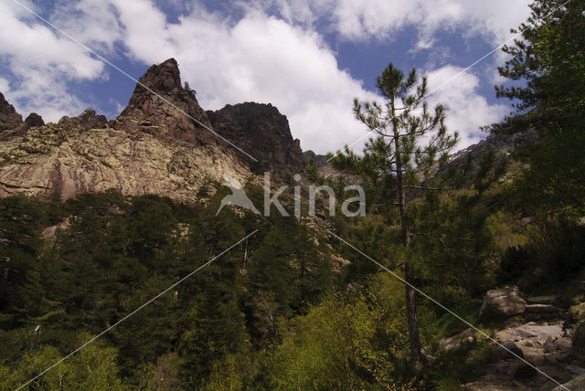 Cirque de Bonifatu