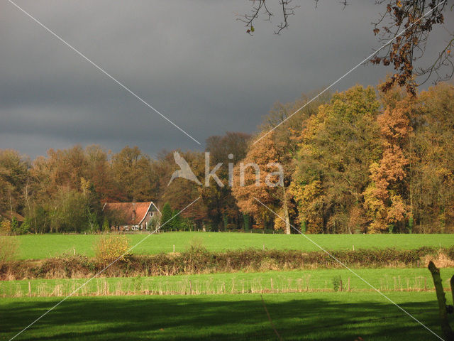Dinkelland