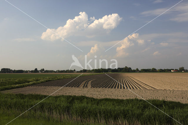 Korendijkse Slikken