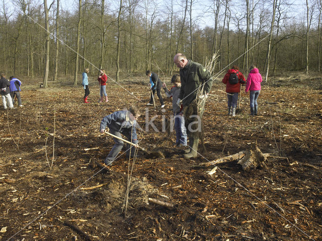 Kuinderbos