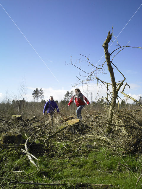 Kuinderbos