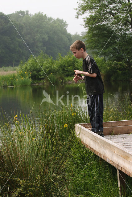 Landgoed Noord Ginkel