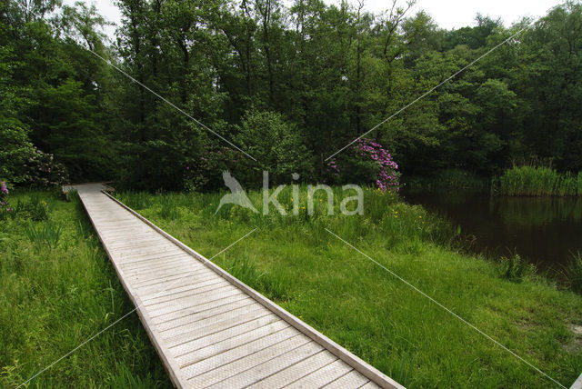 Landgoed Noord Ginkel